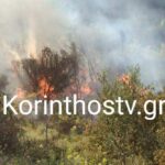 ΤΩΡΑ: Φωτιά στο Μπολάτι Κορινθίας (video)